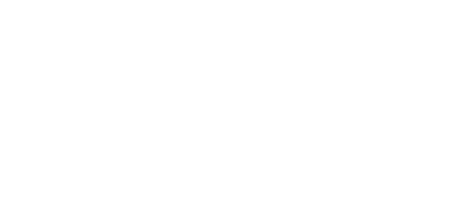 the-access-footer